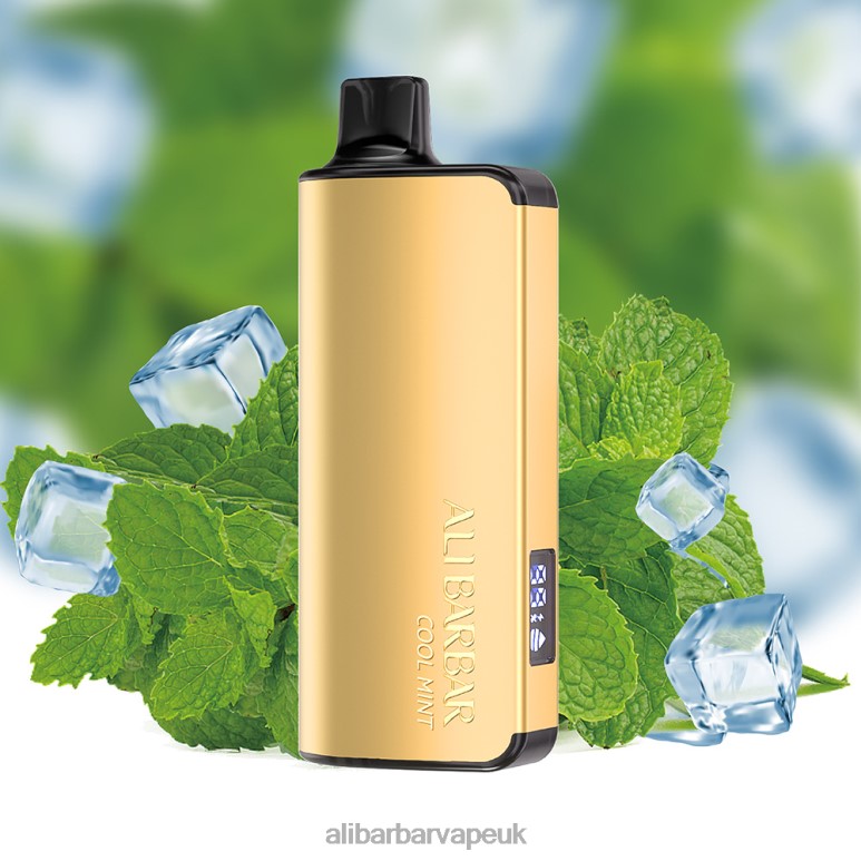 Alibarbar Vape Review - Alibarbar Ingot 9000 Disposable Vape 8246018 Cool Mint
