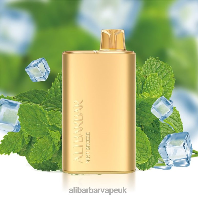 Alibarbar Ingot Flavours List - Alibarbar Rich 8000 Disposable Vape 824608 Mint Breeze