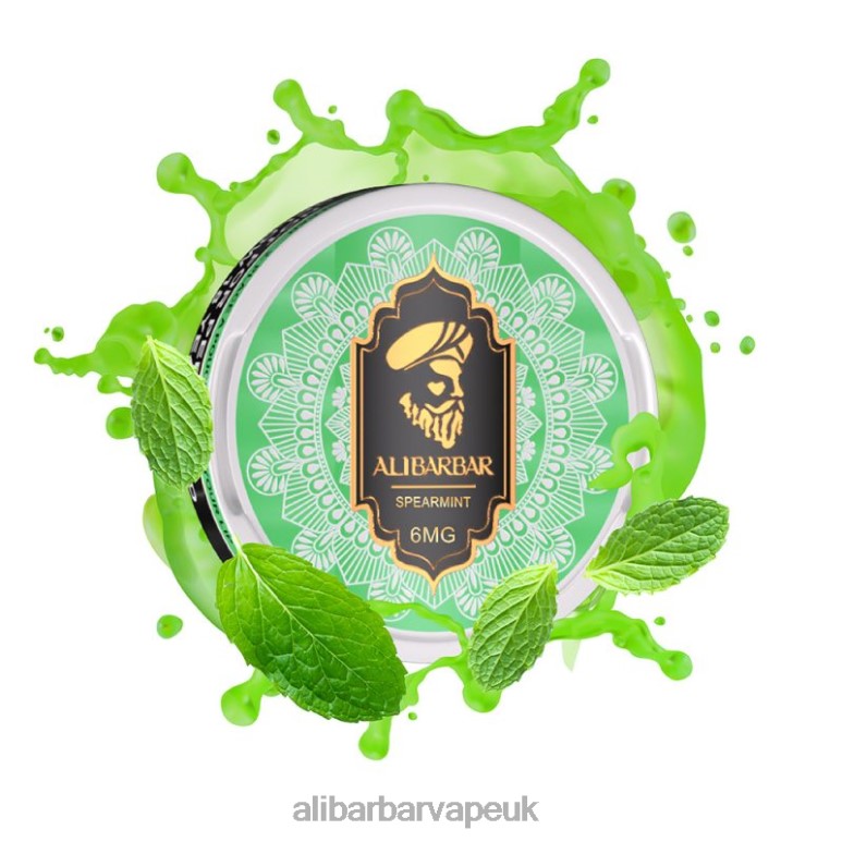 Alibarbar Vape Review - Alibarbar Nicotine Pouches 8246090 Spearmint